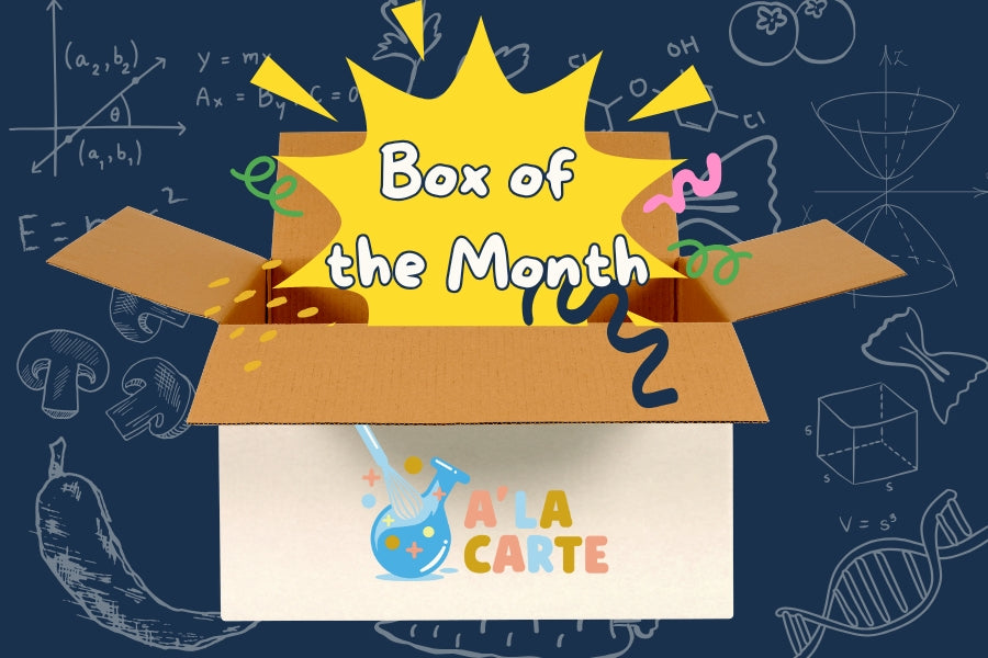 Box of the Month Club + Online Curriculum