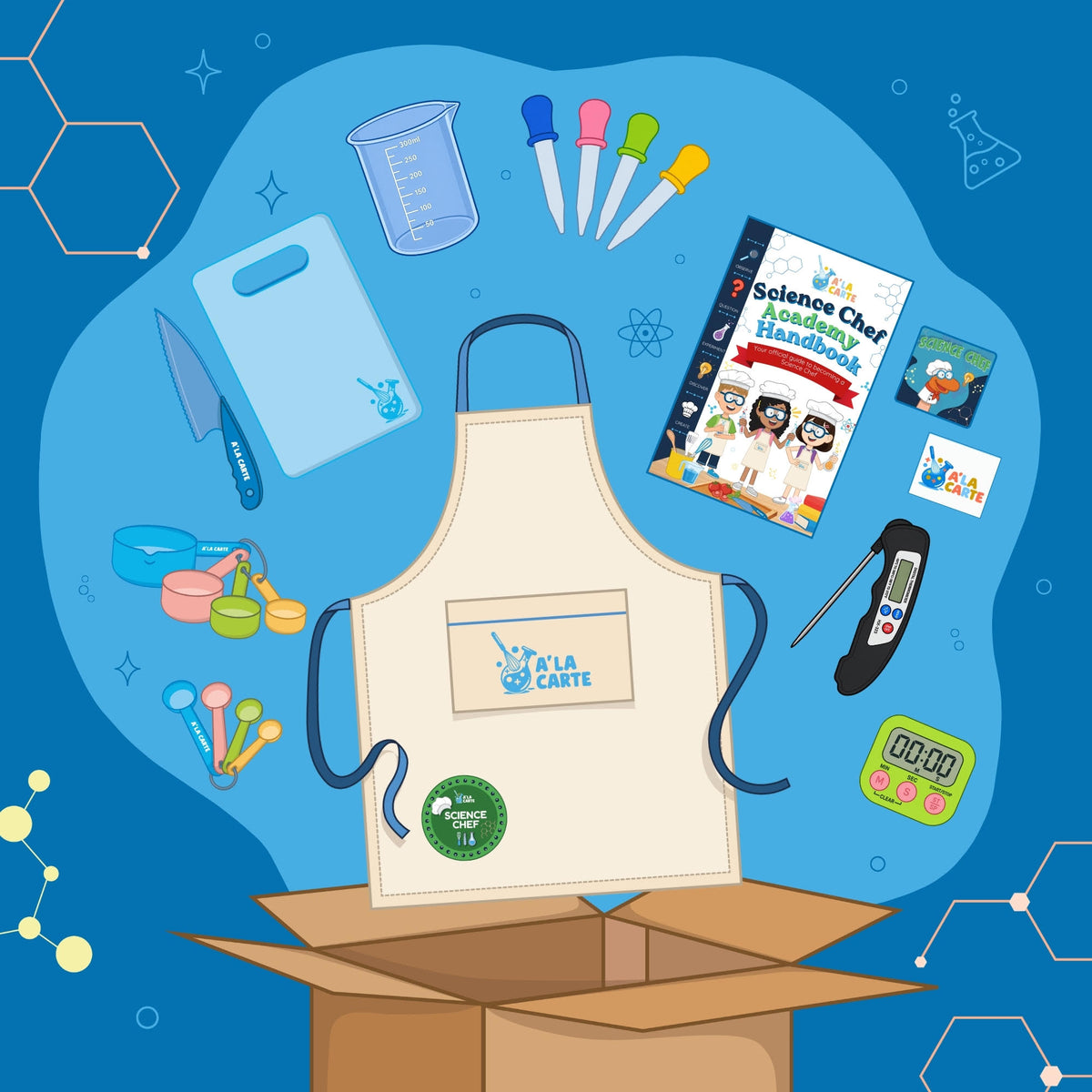 Esa Program